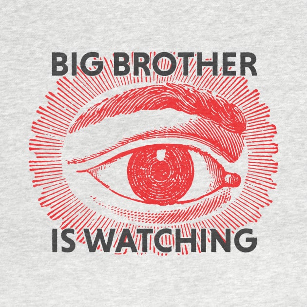 Big Brother is watching by this.space